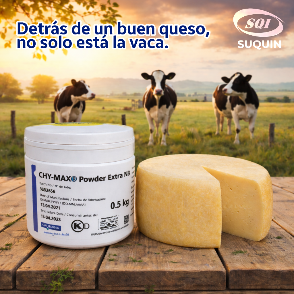 cuajo para hacer queso, cuajar leche